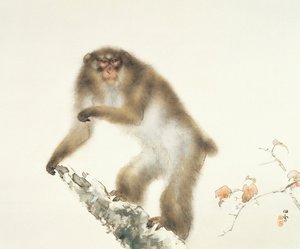 Vecchia scimmia con ciliegia in autunno